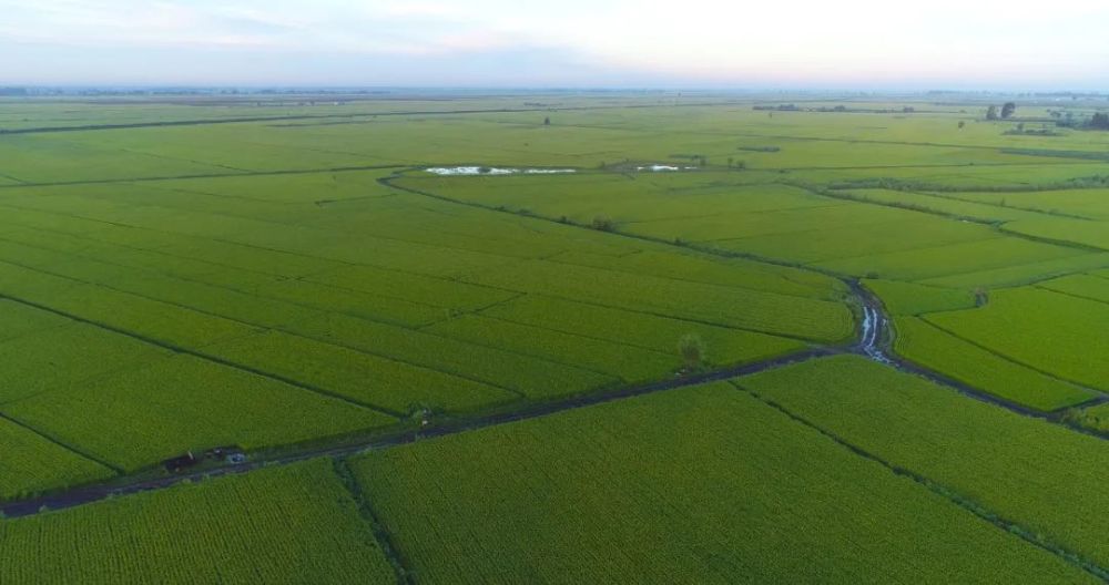 1703746335231910.jpg 圖片3.jpg