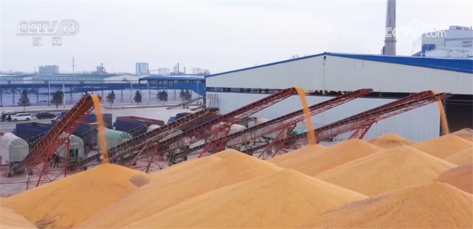 1705561572528147.jpg 圖片4.jpg